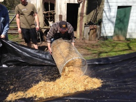 Pouring out straw