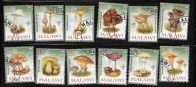 malawi01.jpg