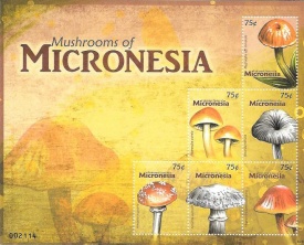 micronesia01.jpg