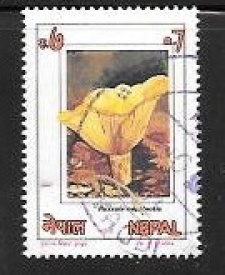 nepal01.jpg