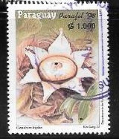 paraguay01.jpg