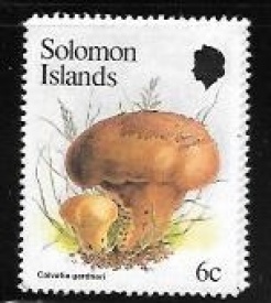 solomon island01.jpg