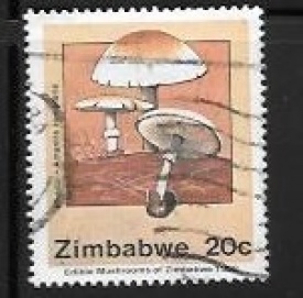 zimbabwe01.jpg