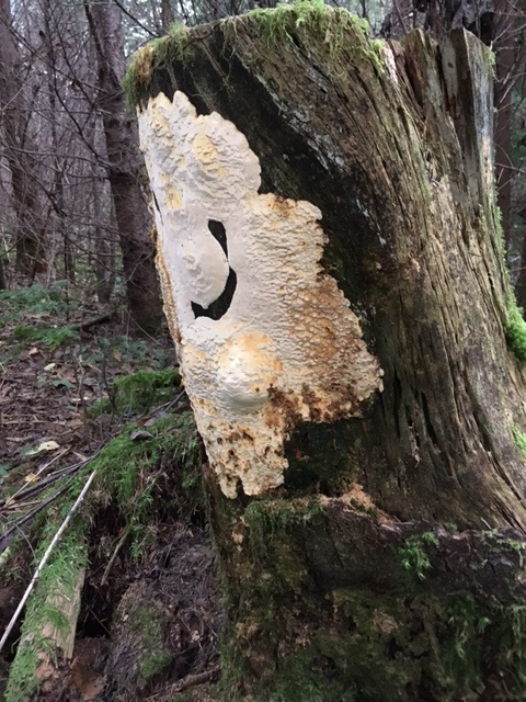 IMG_1491.JPG IMG_1491.JPG