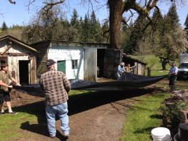 laying out the tarp