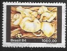 brasil01.jpg
