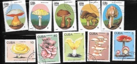 cuba01.jpg