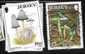 jersey01.jpg